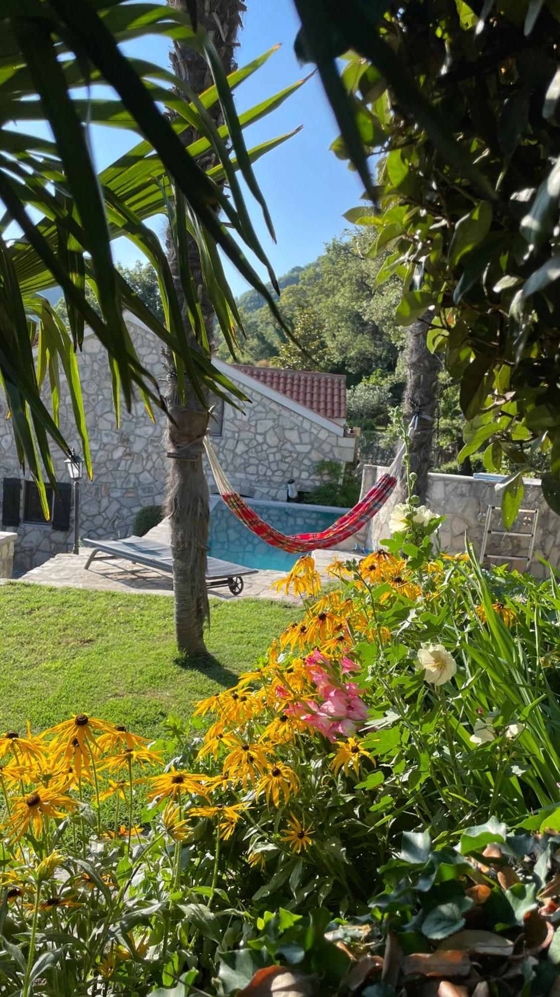 House In The Mountains Near בודווה מראה חיצוני תמונה